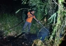 Bakar Sampah Sembarangan, Lahan 50 Are di Tukad Mungga Terbakar
