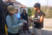 Tiga HPR Divaksin Darurat usai Kasus Gigitan Anak Anjing di Jembrana