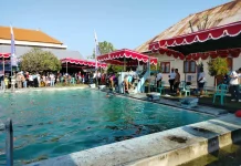 303 Atlet Turun Berlomba, Mola-Mola Cup II Jadi Ajang Pembinaan Atlet