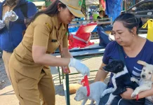 Tiga Kasus Rabies Baru Muncul di Jembrana, Didominasi Anak Anjing