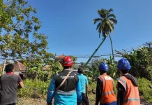 Laporan Warga Ditindaklanjuti, Pohon Dekat Jaringan Listrik Dipangkas