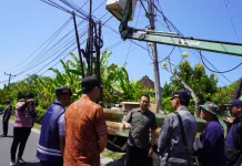 Tahun ini, 20 Titik PJU Mati di Jembrana Ditargetkan Kembali Menyala