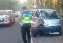Tersenggol Bus, Mobil Pikap Tabrak Pohon di Gilimanuk