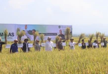 Bupati Jembrana Dorong Petani Maksimalkan Teknologi untuk Tingkatkan Produksi