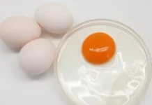 7 Manfaat Kuning Telur Ayam Kampung Mentah, Benarkah Lebih Berkhasiat?
