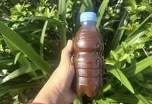 Dari Sampah Dapur Jadi Cairan Ajaib: Rahasia Membuat Eco Enzyme untuk Rumah dan Bumi