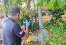 Limbah Medis Ditemukan Terbuang di Pinggir Jalan Raya Denpasar-Gilimanuk