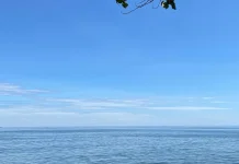 Konservasi Manusia Jadi Kunci Jaga Pesisir dan Laut Buleleng