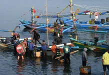 Ekspor Bali Turun 8,42 Persen pada Agustus 2026, Neraca Perdagangan Tetap Surplus