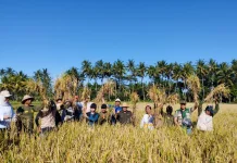 Nilai Tukar Petani September 2026 Naik Tipis, Biaya Produksi Membengkak