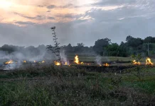 PMI Buleleng Dorong Kolaborasi Hadapi Kebakaran