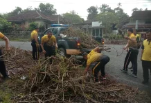 Polisi Bersihkan Sisa Penebangan di Pekutatan