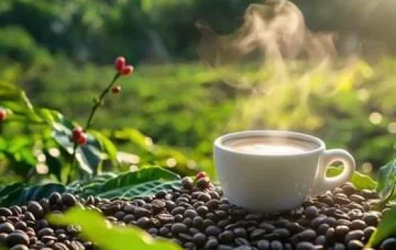 Mengenal Peringatan Hari Kopi Nasional di Indonesia