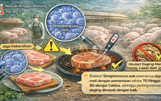 Dokter Ingatkan Cara Aman Konsumsi Daging Babi untuk Cegah Meningitis Suis