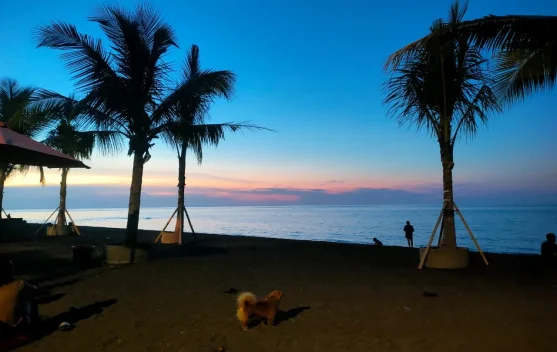 Senja di Pantai POP Hotel Singaraja Bali, Suasana Tenang yang Menenangkan