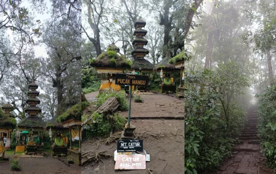 Gunung Catur, Pendakian Ramah Pemula dengan Nuansa Alam dan Spiritual di Bali