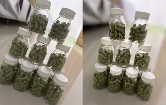 Mengupas Khasiat Kapsul Moringa Oleifera: Ekstrak Daun Kelor untuk Kesehatan