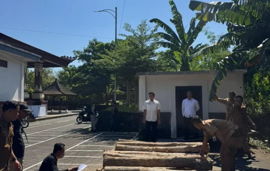 Polres Jembrana Amankan Puluhan Gelondong Kayu Jati Dugaan Illegal Logging