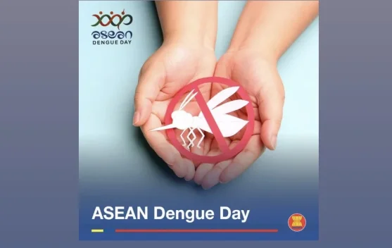 Peringatan Hari Demam Berdarah Dengue ASEAN, Ini Sejarahnya