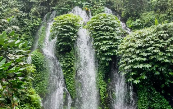 Tren Touch Some Grass Dorong Minat Wisata Alam di Buleleng