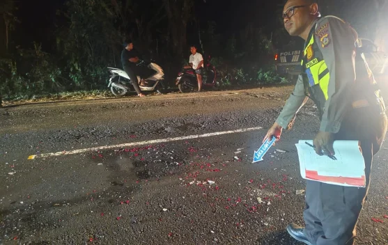 Diduga Rem Blong, Truk Tronton Sebabkan Tabrakan Beruntun di Pekutatan