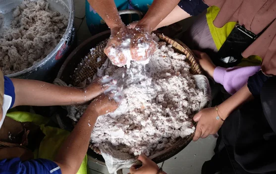 Mengenal Proses Pembuatan Minyak Kelapa Asli yang Alami