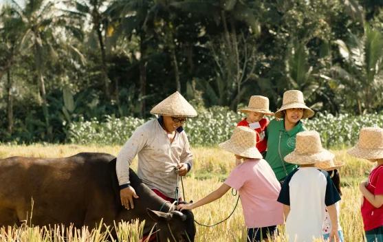 Bertani di Sawah Bantu Bentuk Karakter Anak