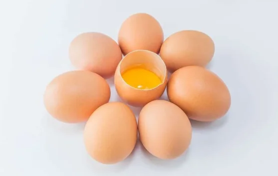 Telur Omega-3, Bukan Sekadar Telur Biasa: Nutrisi Diperkaya dari Pakan