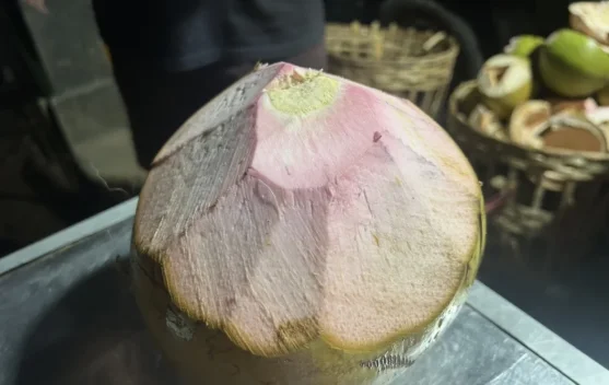 Menguak Khasiat Kelapa Merah: Si Langka Berwarna Eksotis yang Kaya Manfaat