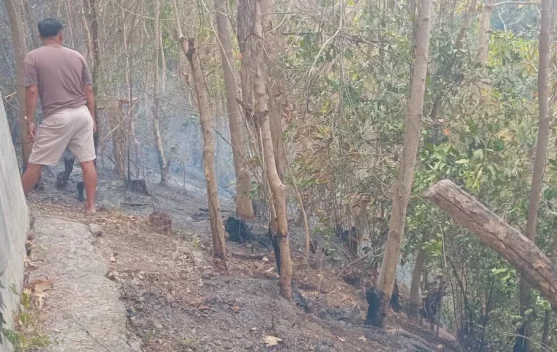 Kebakaran Lahan Melanda Desa Sekumpul, Sejumlah Titik Api Berhasil Dipadamkan