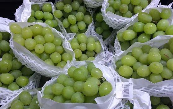 Anggur Muscat tanpa Biji jadi Buah Primadona