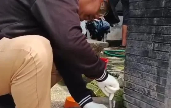 Diduga Rabies, Anak Anjing Gigit Tiga Anggota Keluarga di Jembrana