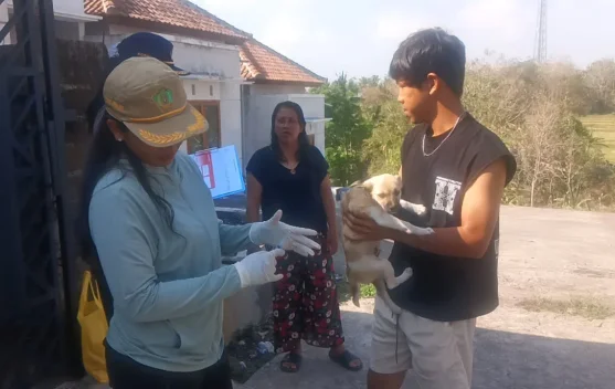 Tiga HPR Divaksin Darurat usai Kasus Gigitan Anak Anjing di Jembrana