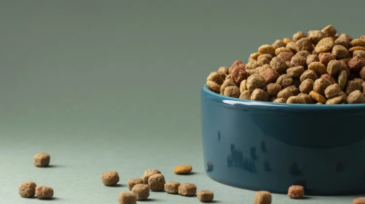 Tujuh Merk Snack Kucing yang Bagus dan Kaya Nutrisi