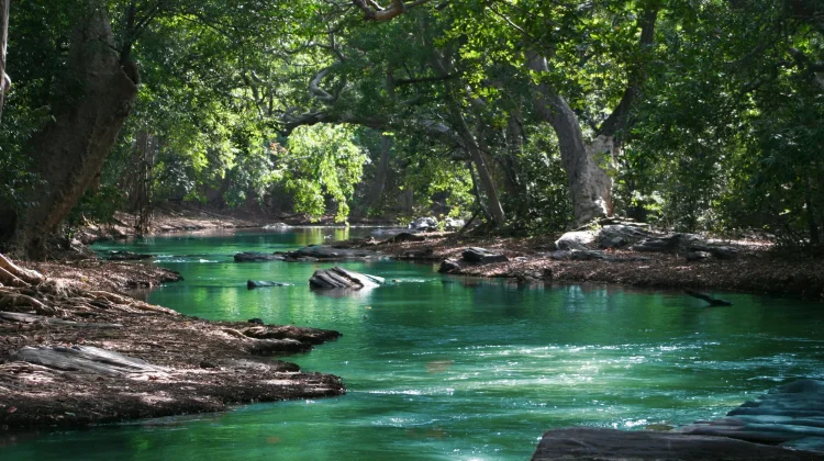 Cara Menjaga Kelestarian Air Sungai