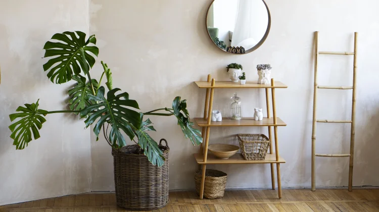 Inspirasi Dekorasi Rumah yang Simple tapi Cantik