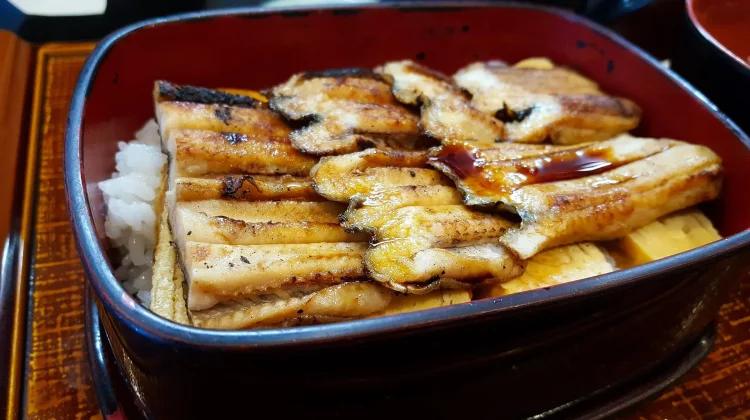 Manfaat Konsumsi Ikan Sidat