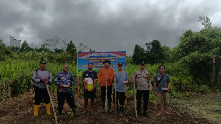 Polsek Nanga Pinoh Tanam Jagung Hibrida, Dukung Ketahanan dan Swasembada Pangan
