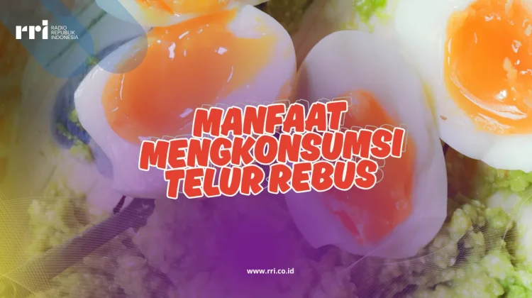 Manfaat Mengkonsumsi Telur Rebus untuk Kesehatan