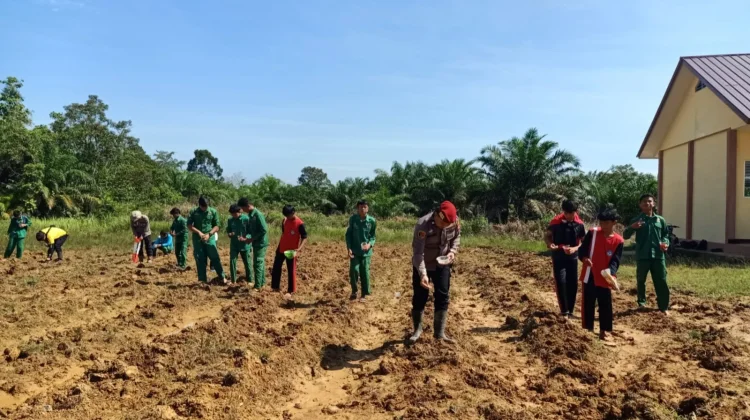 Pelajar SMK di Sekadau Belajar Ketahanan Pangan lewat Demplot