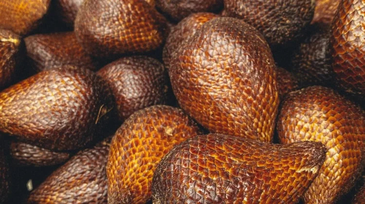 Ragam Salak Populer di Indonesia