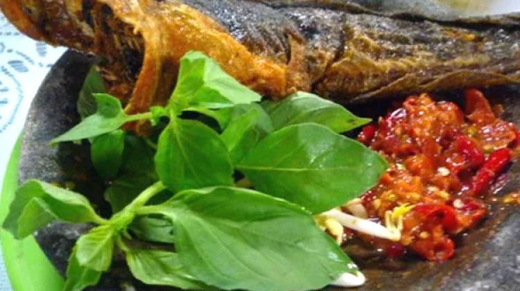 Hal yang Perlu Diperhatikan dalam Konsumsi Daun Kemangi