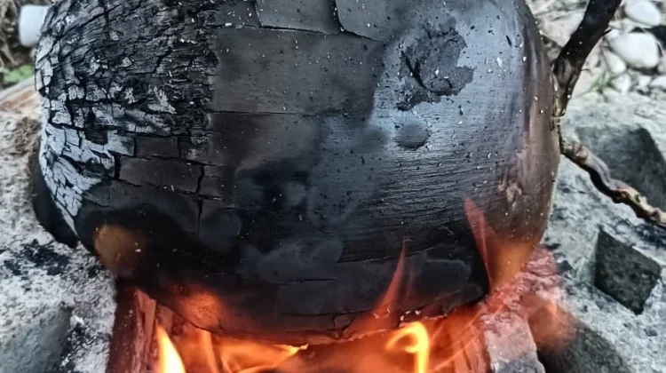 Manfaat Kelapa Bakar bagi Kesehatan