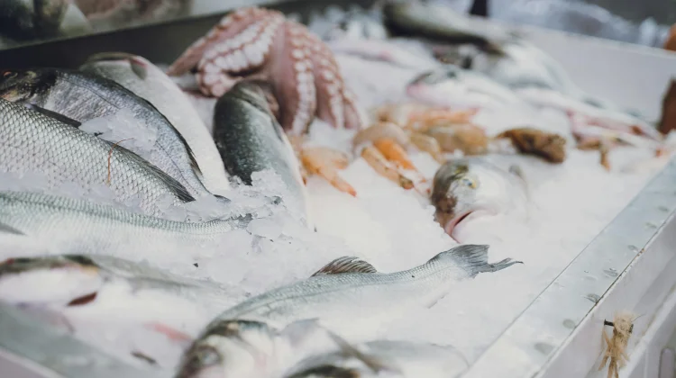 Frozen Food Paling Laris Dicari Konsumen