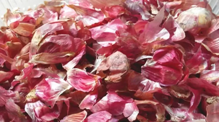 Manfaat Bawang Merah untuk Kesehatan Rambut