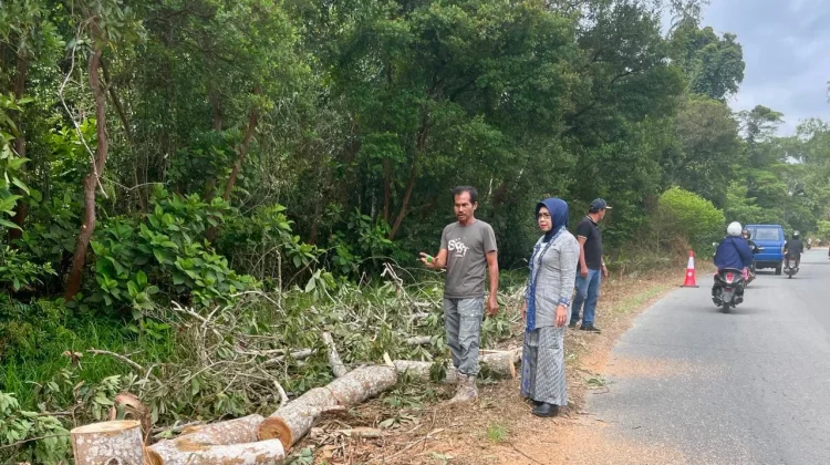 DLH Sintang Bersihkan Jalur Hutan Wisata