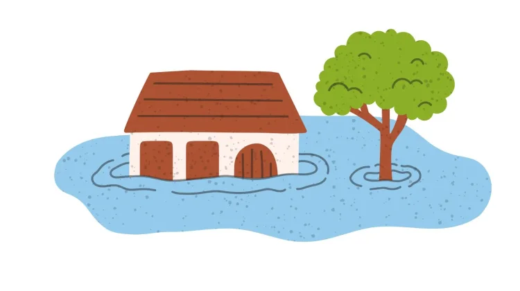 Mengenal Beragam Jenis Banjir