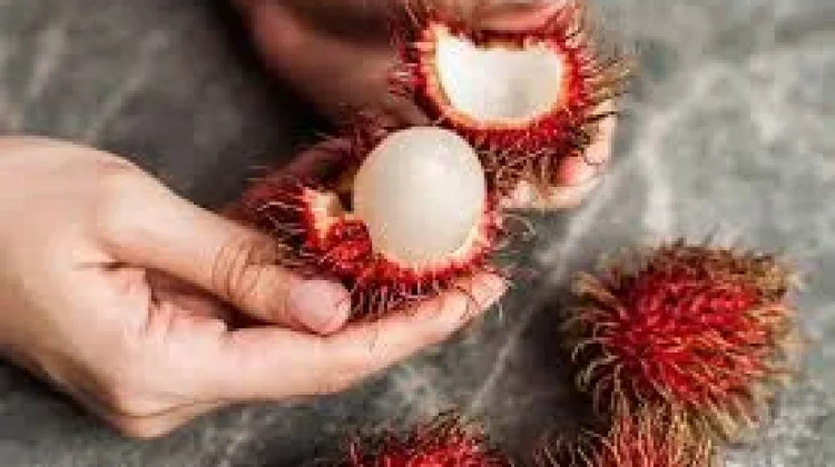 Manfaat Buah Rambutan bagi Kesehatan