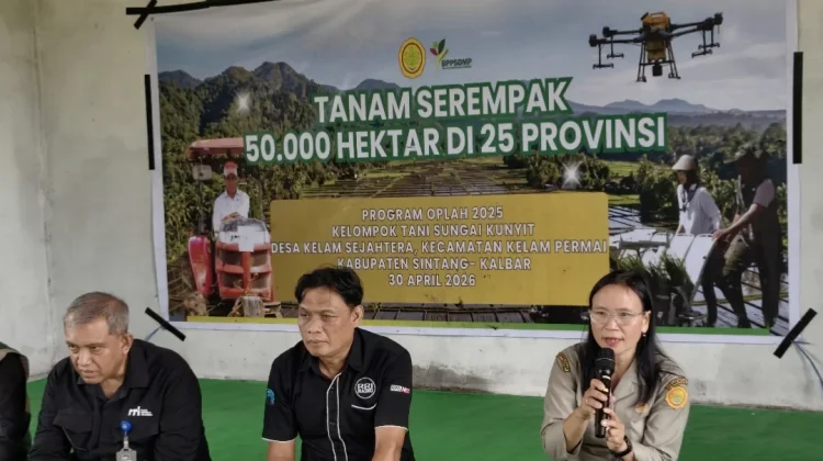 Penyuluh Pertanian Sintang Pacu Indeks Pertanaman Tiga Kali Setahun
