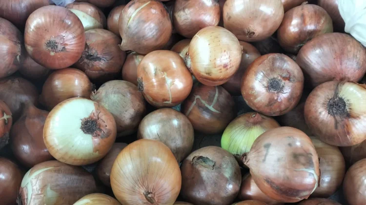 Sempat Langka, Bawang Bombay di Pasar Sintang Kembali Normal